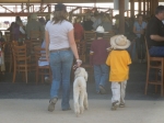 2012.2.22 Beans at Scottsdale Arabian Show