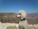 2012 Grand Canyon Trip