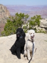 2012 Grand Canyon Trip