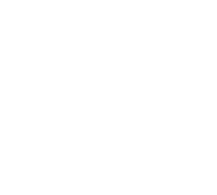 Springer Clans Standard Poodles